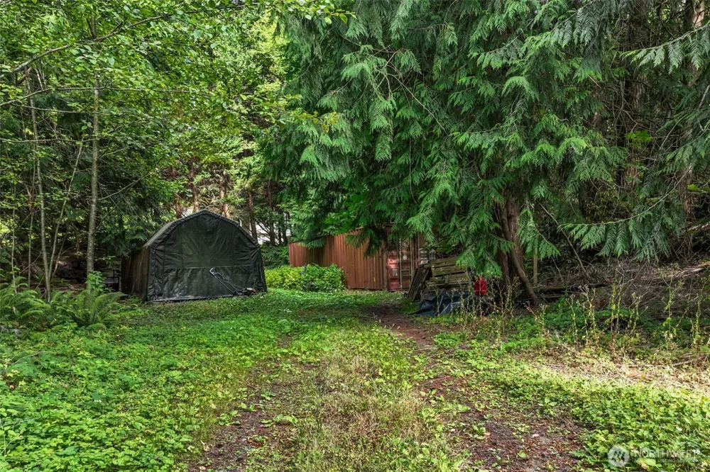 1215 244th Avenue NE Sammamish, WA 98074