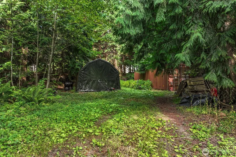 1215 244th Avenue NE Sammamish, WA 98074