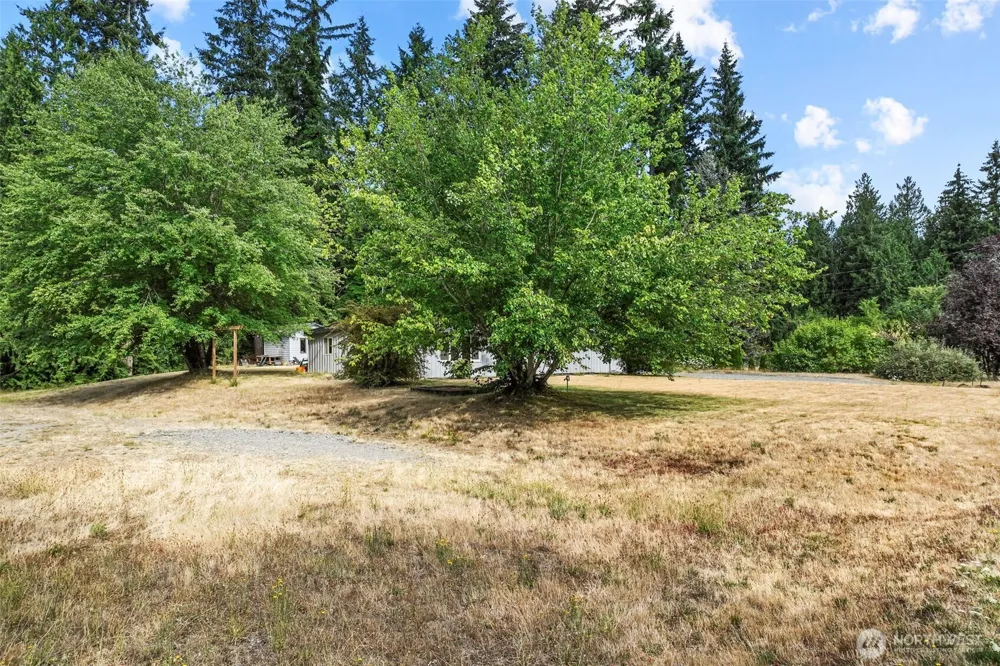 1215 244th Avenue NE Sammamish, WA 98074