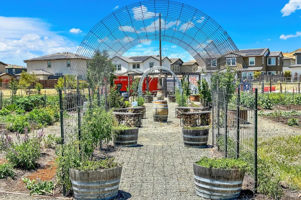 2456 Shore Vista Fairfield, CA 94533