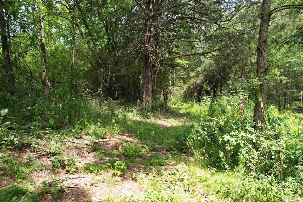 326 Mcclure Road Benton, TN 37307