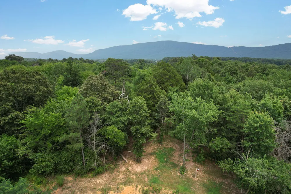 326 Mcclure Road Benton, TN 37307