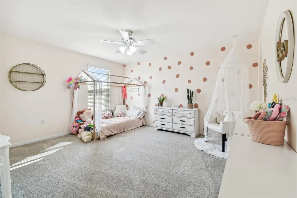 3416 SAN MOISE PLACE Plant City, FL 33567