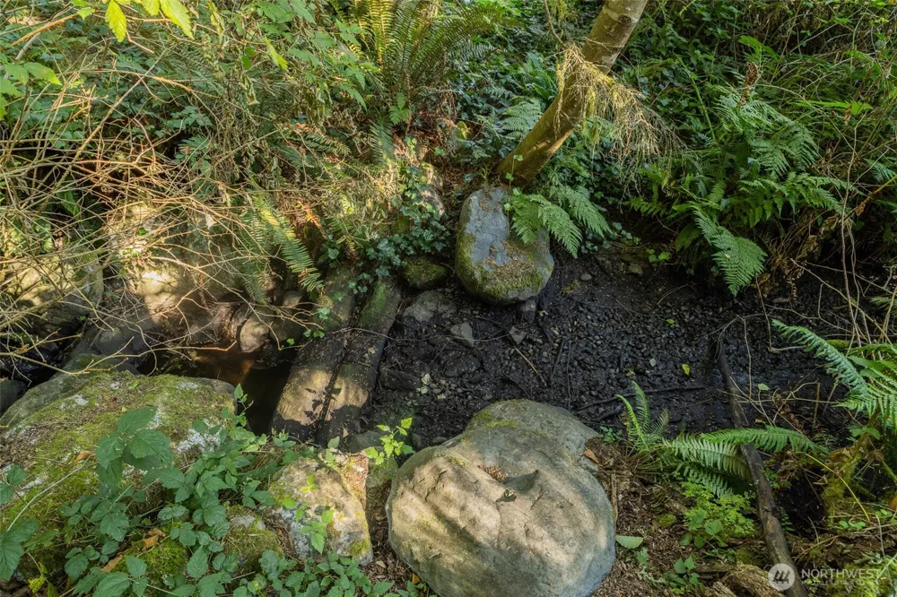 0 XX NE Baker Hill Road Bainbridge Island, WA 98110