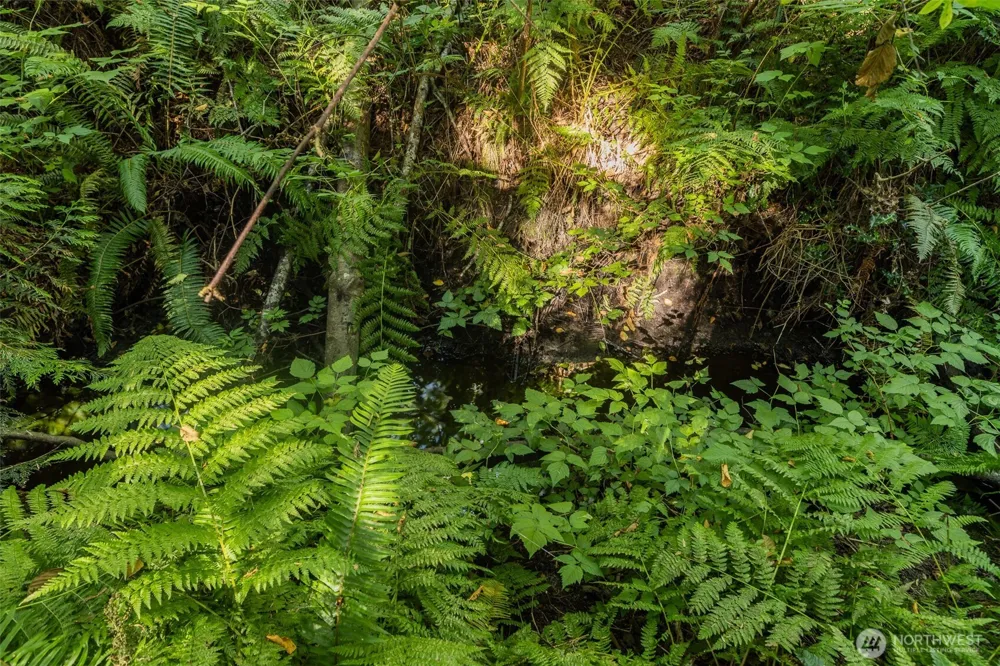 0 XX NE Baker Hill Road Bainbridge Island, WA 98110