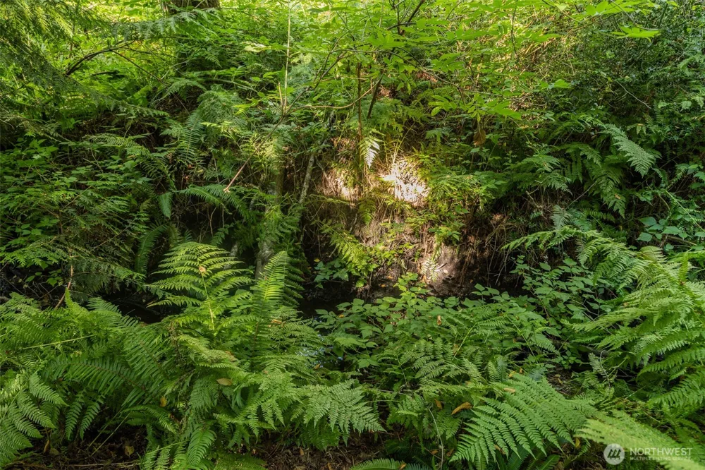 0 XX NE Baker Hill Road Bainbridge Island, WA 98110