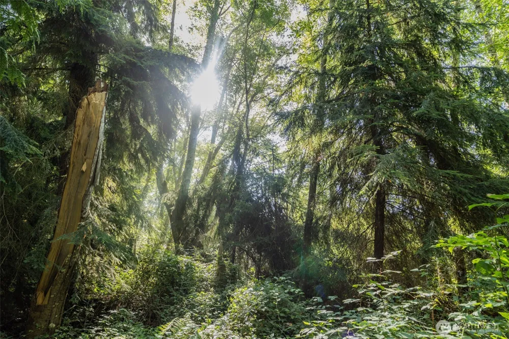 0 XX NE Baker Hill Road Bainbridge Island, WA 98110