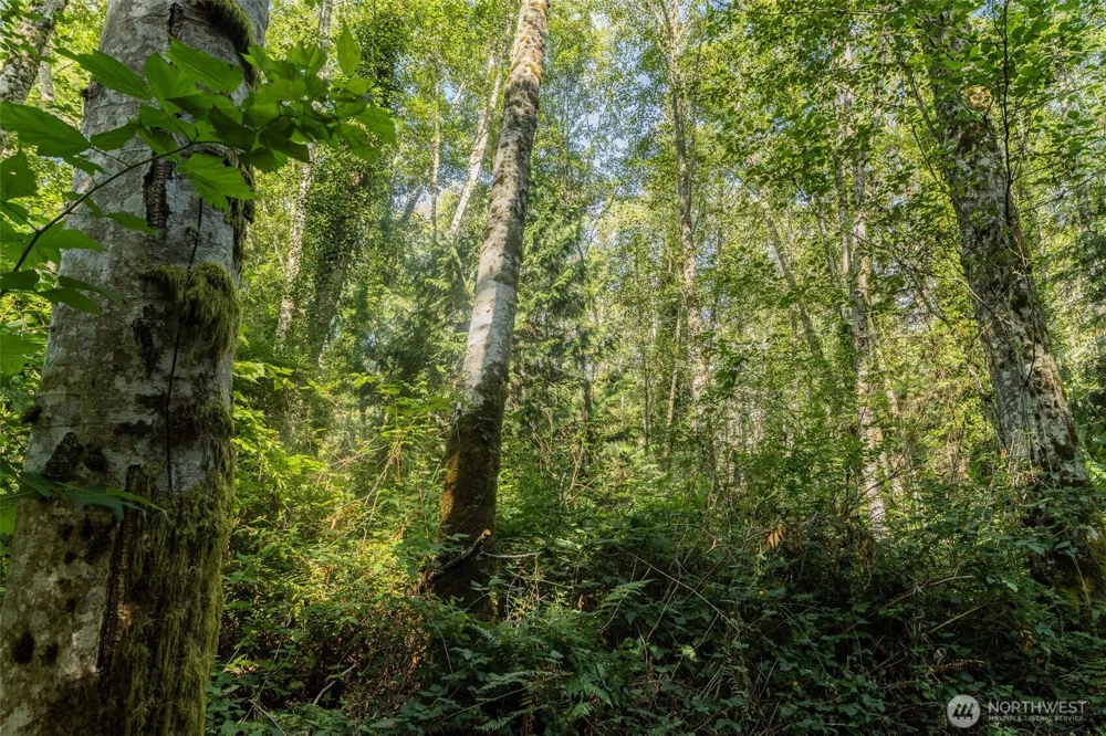 0 XX NE Baker Hill Road Bainbridge Island, WA 98110