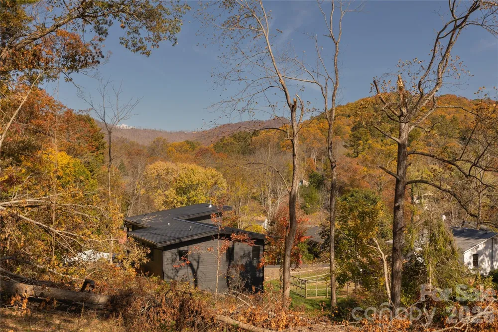 13 Bassett Road Asheville, NC 28804