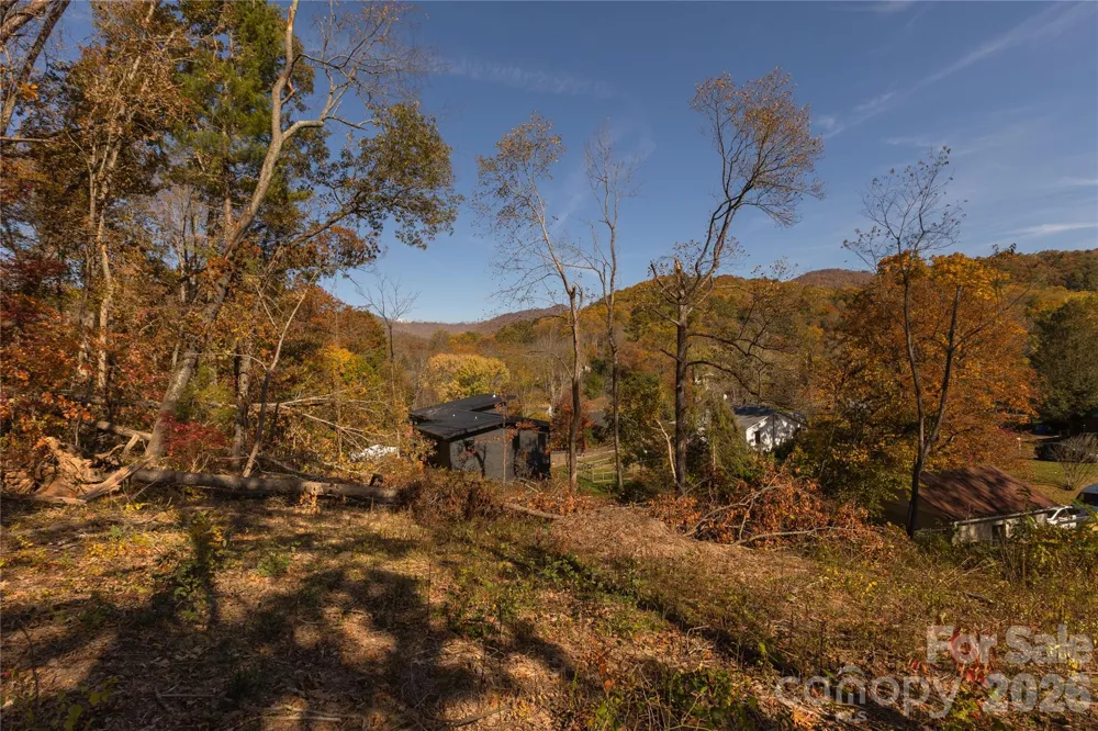 13 Bassett Road Asheville, NC 28804