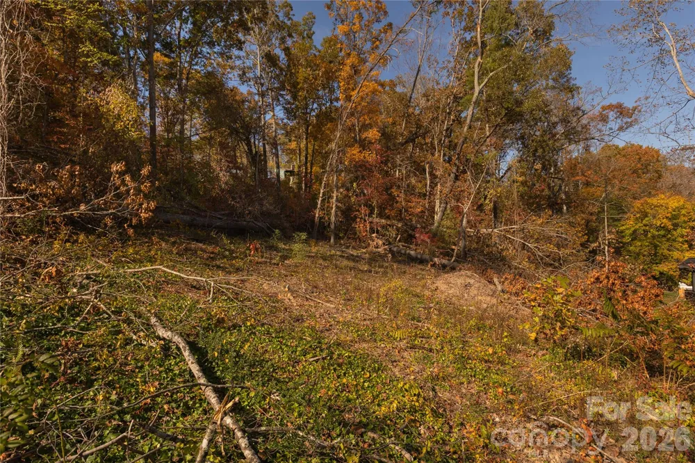 13 Bassett Road Asheville, NC 28804