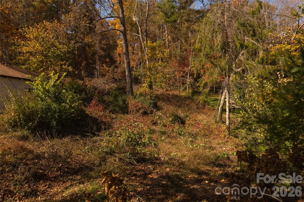 13 Bassett Road Asheville, NC 28804