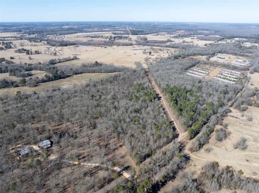 County Road  4246 Pittsburg, TX 75686