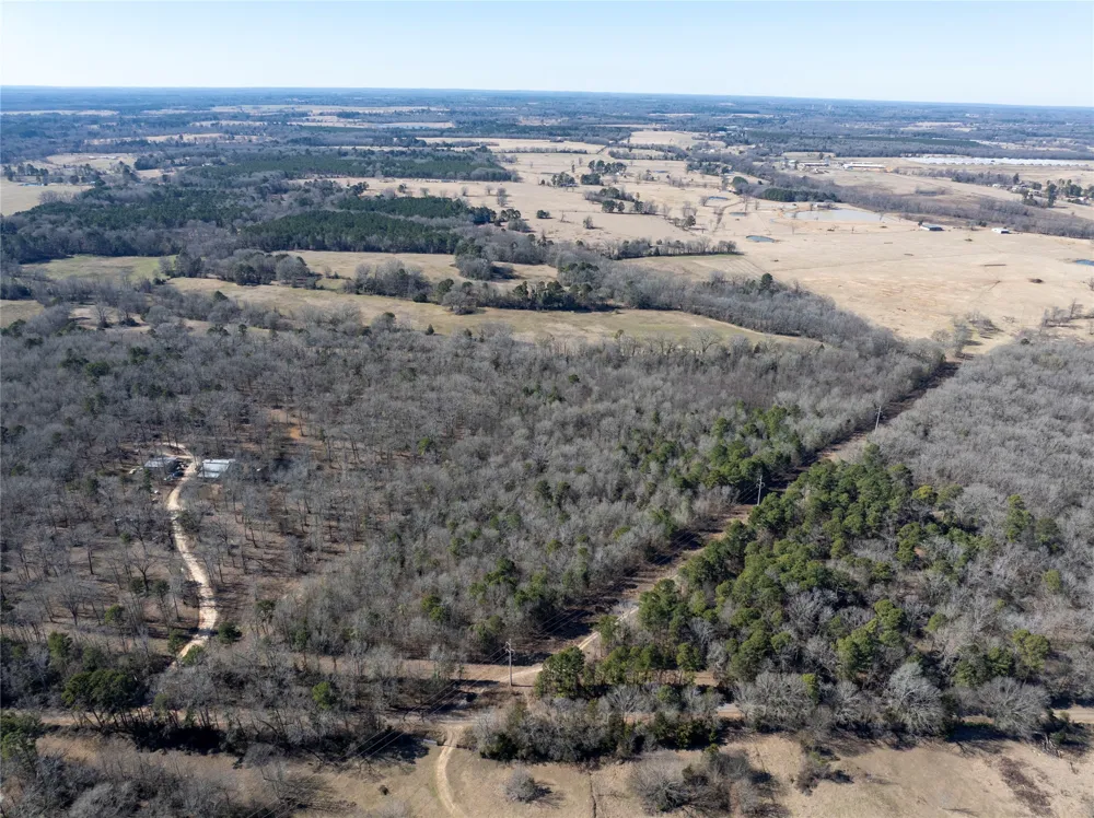 County Road  4246 Pittsburg, TX 75686