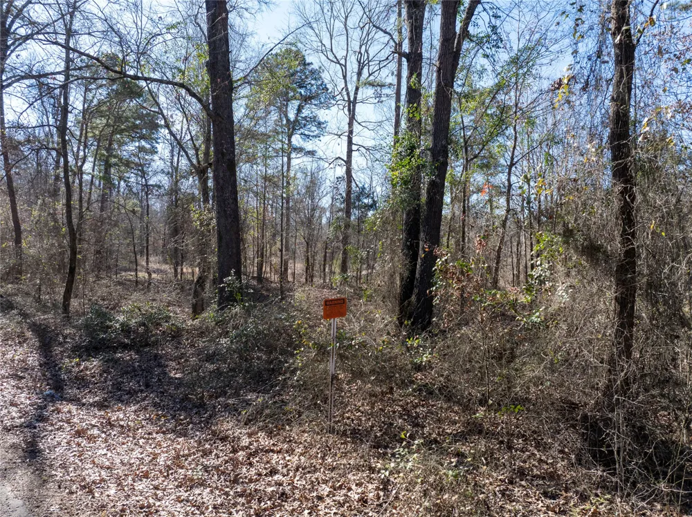 County Road  4246 Pittsburg, TX 75686