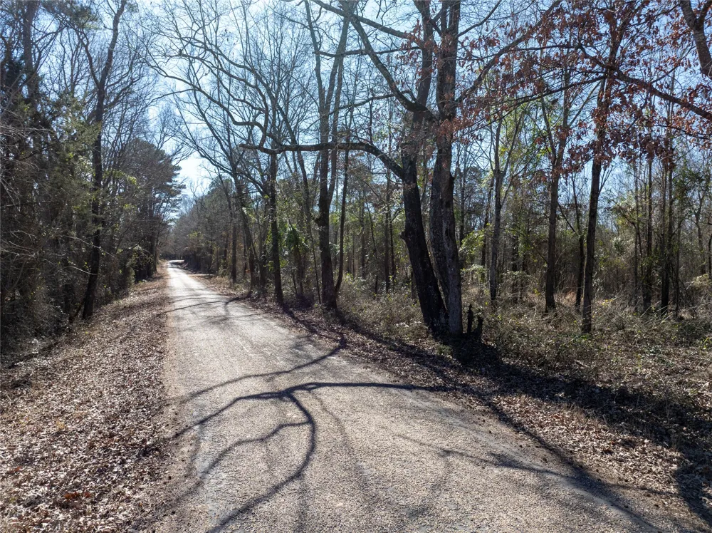 County Road  4246 Pittsburg, TX 75686