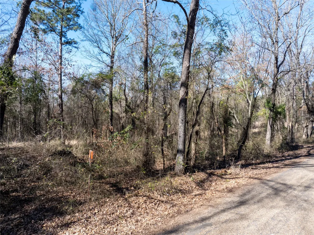 County Road  4246 Pittsburg, TX 75686