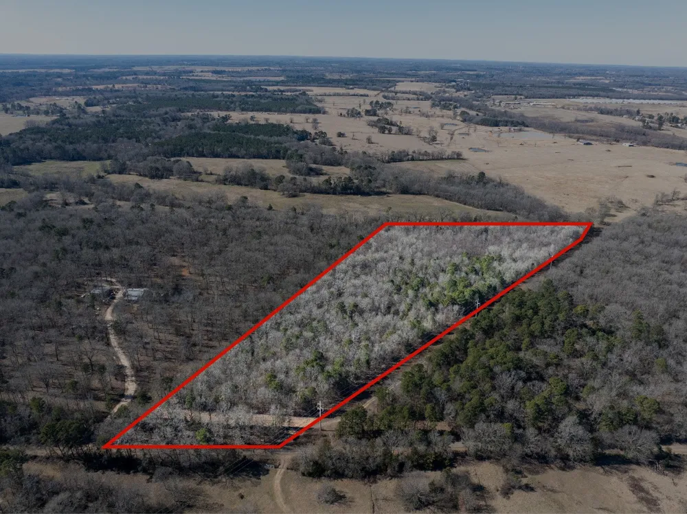 County Road  4246 Pittsburg, TX 75686