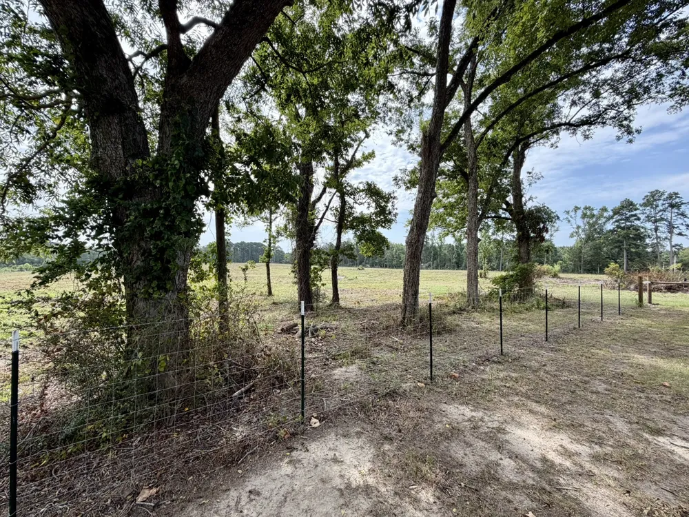 151 Campbell Road Converse, LA 71419