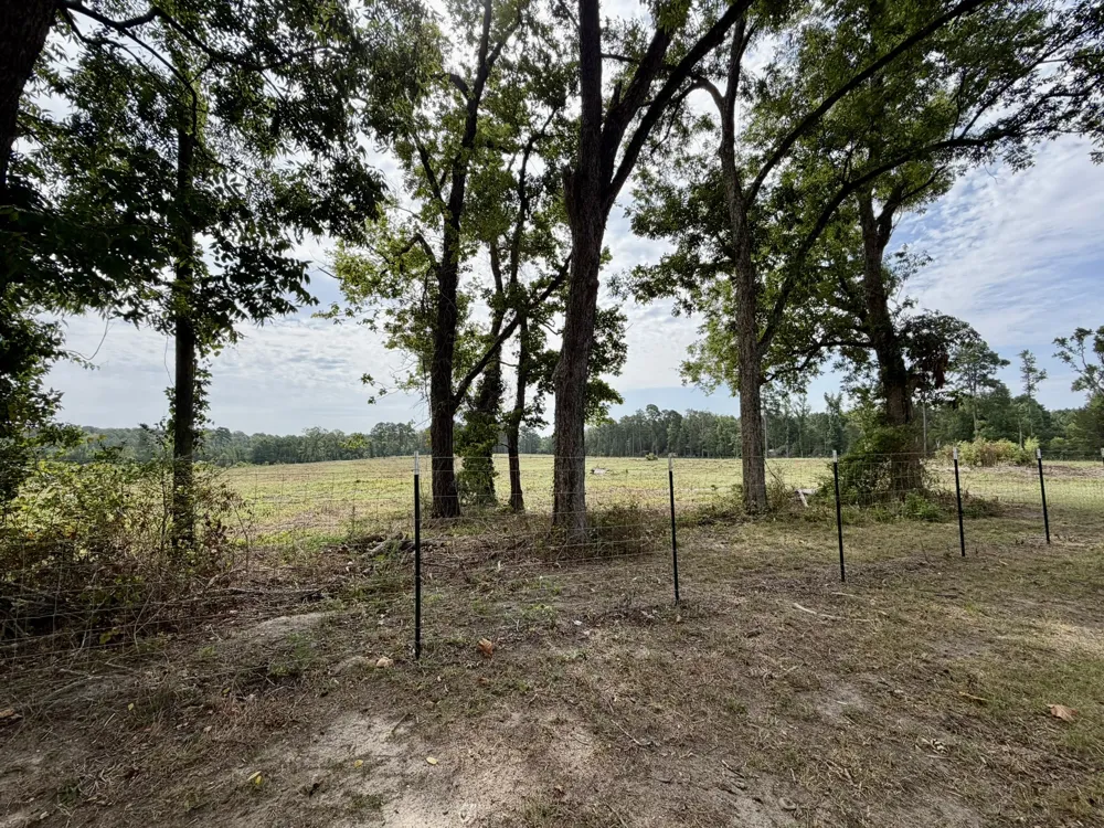 151 Campbell Road Converse, LA 71419