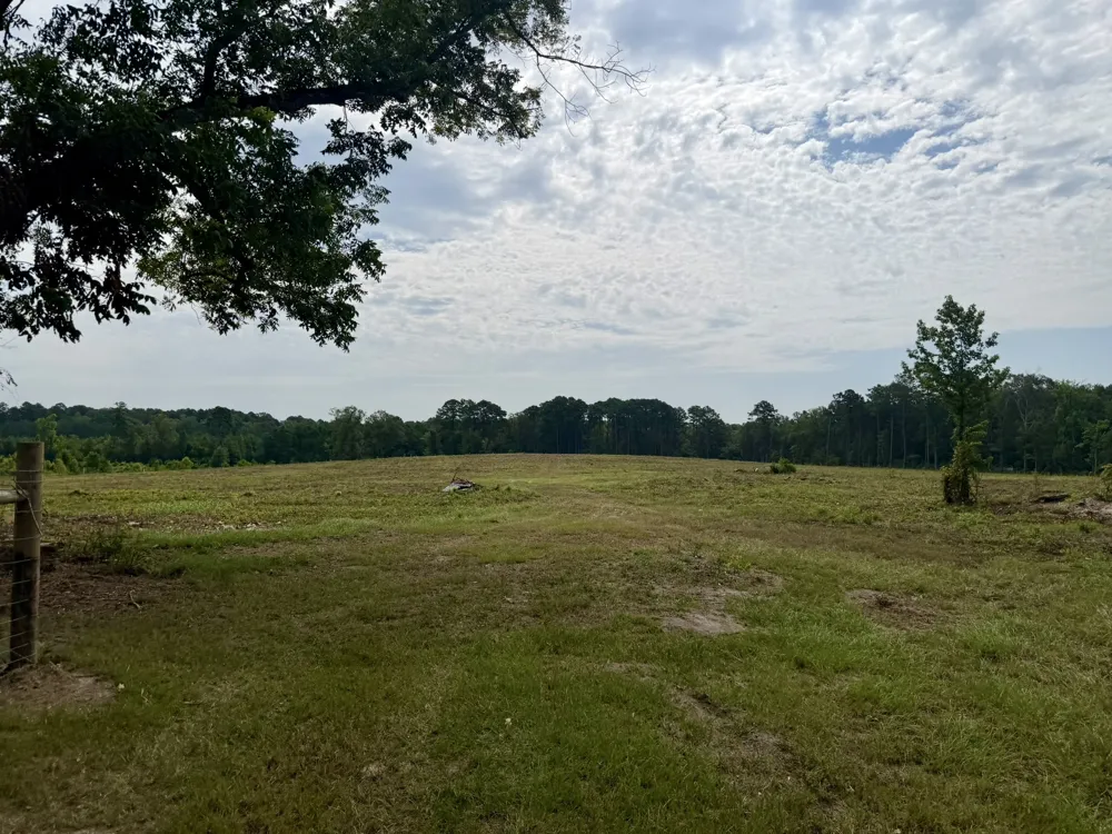 151 Campbell Road Converse, LA 71419
