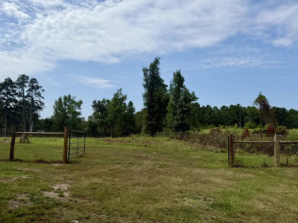 151 Campbell Road Converse, LA 71419