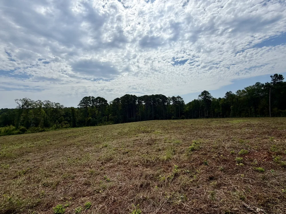 151 Campbell Road Converse, LA 71419
