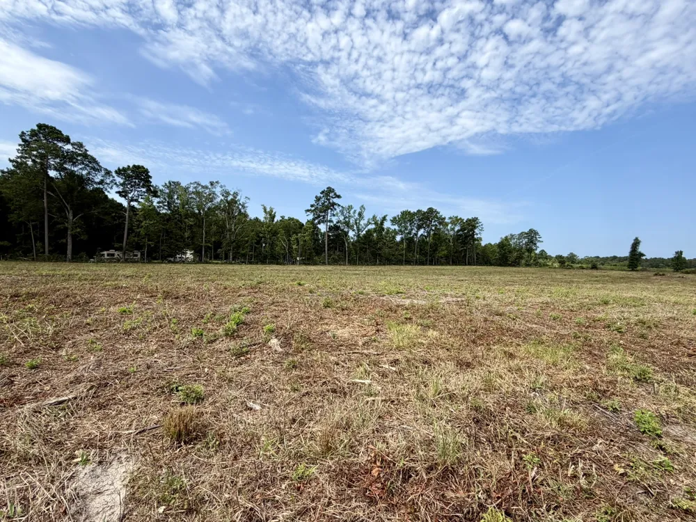 151 Campbell Road Converse, LA 71419