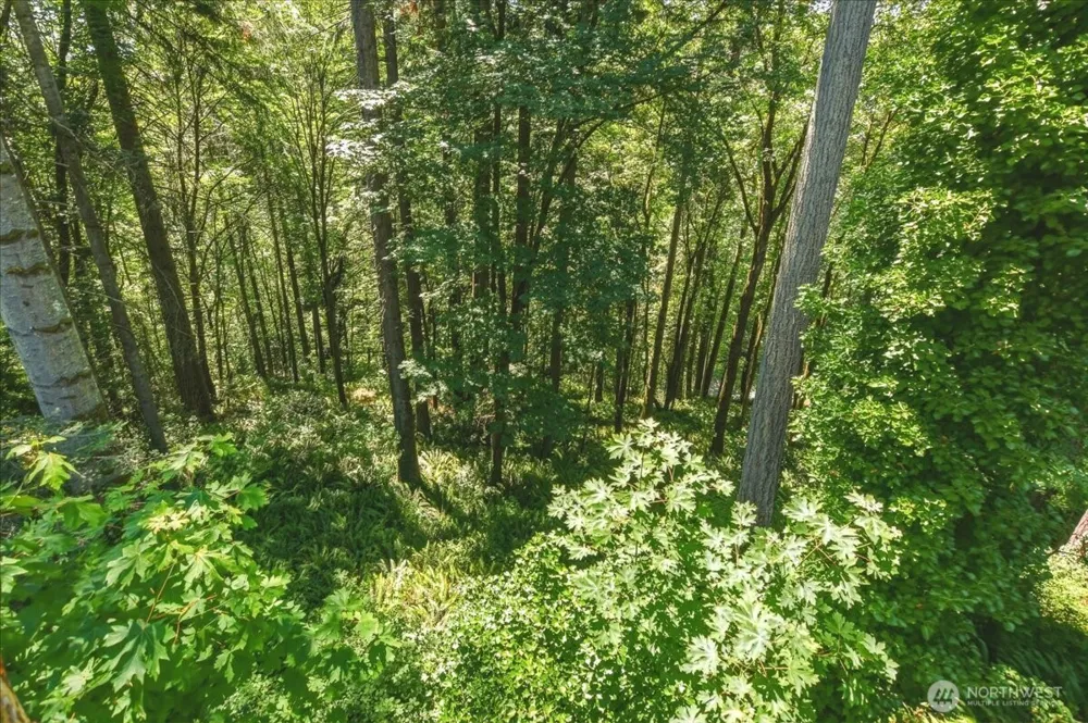2425 Archwood Drive Longview, WA 98632