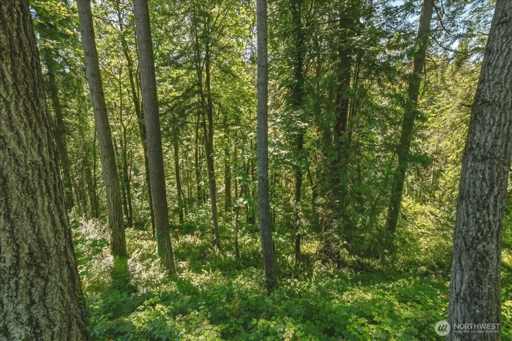 2425 Archwood Drive Longview, WA 98632