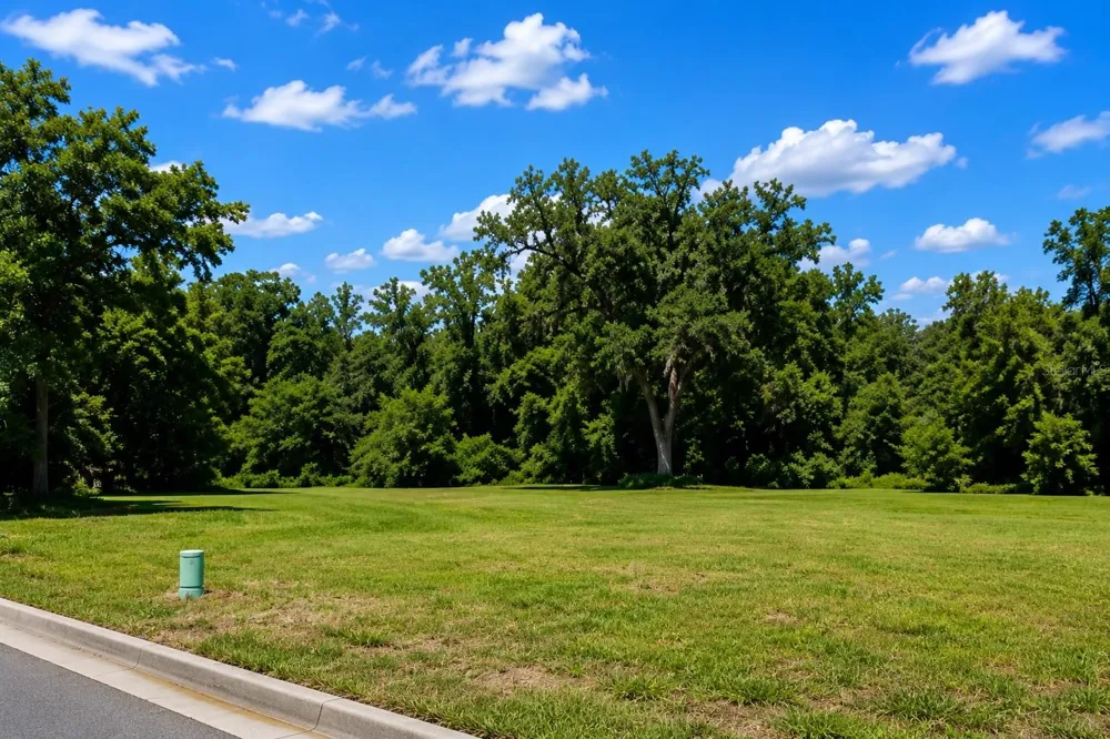 16532 NW 245TH TERRACE High Springs, FL 32643