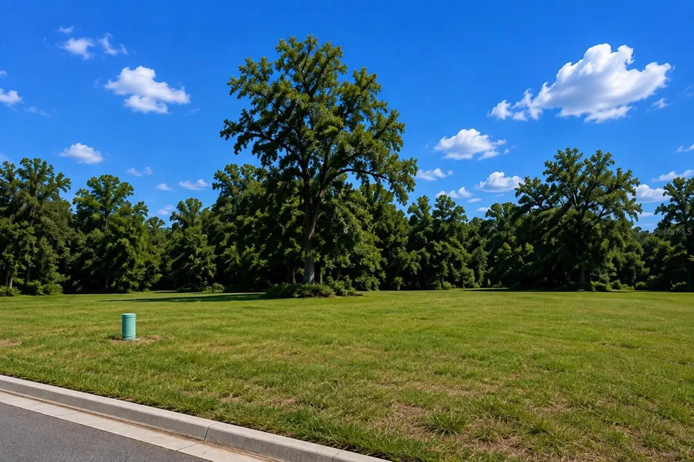 16532 NW 245TH TERRACE High Springs, FL 32643