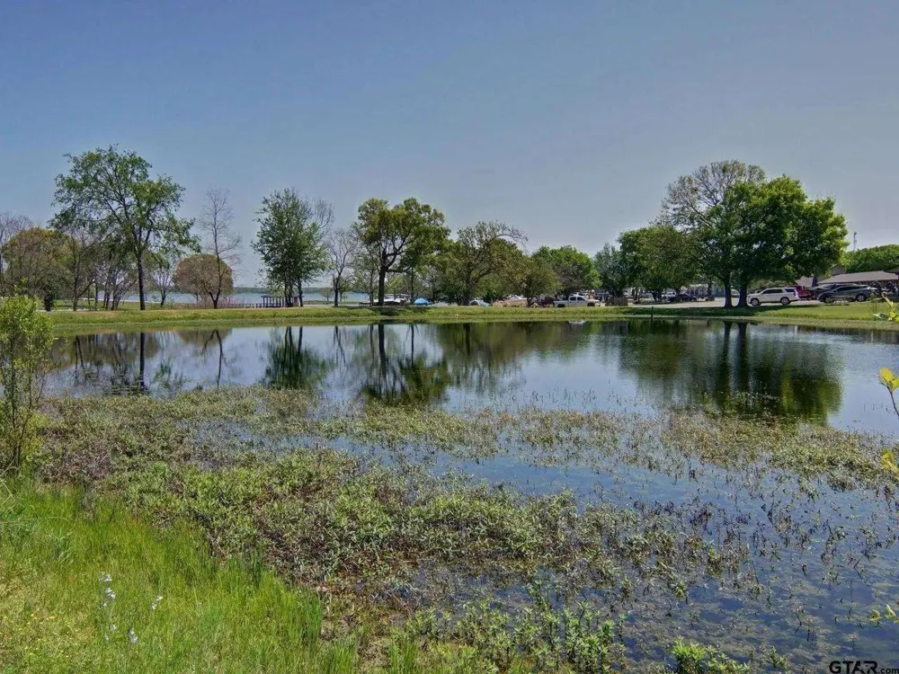 166 County Road 1559 Alba, TX 75410