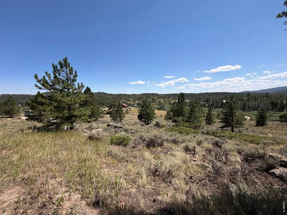 6920 Ottawa Way Red Feather Lakes, CO 80545