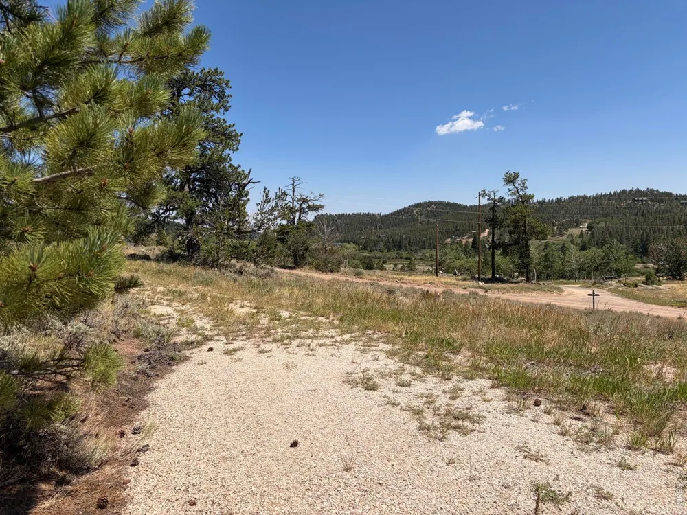 6920 Ottawa Way Red Feather Lakes, CO 80545
