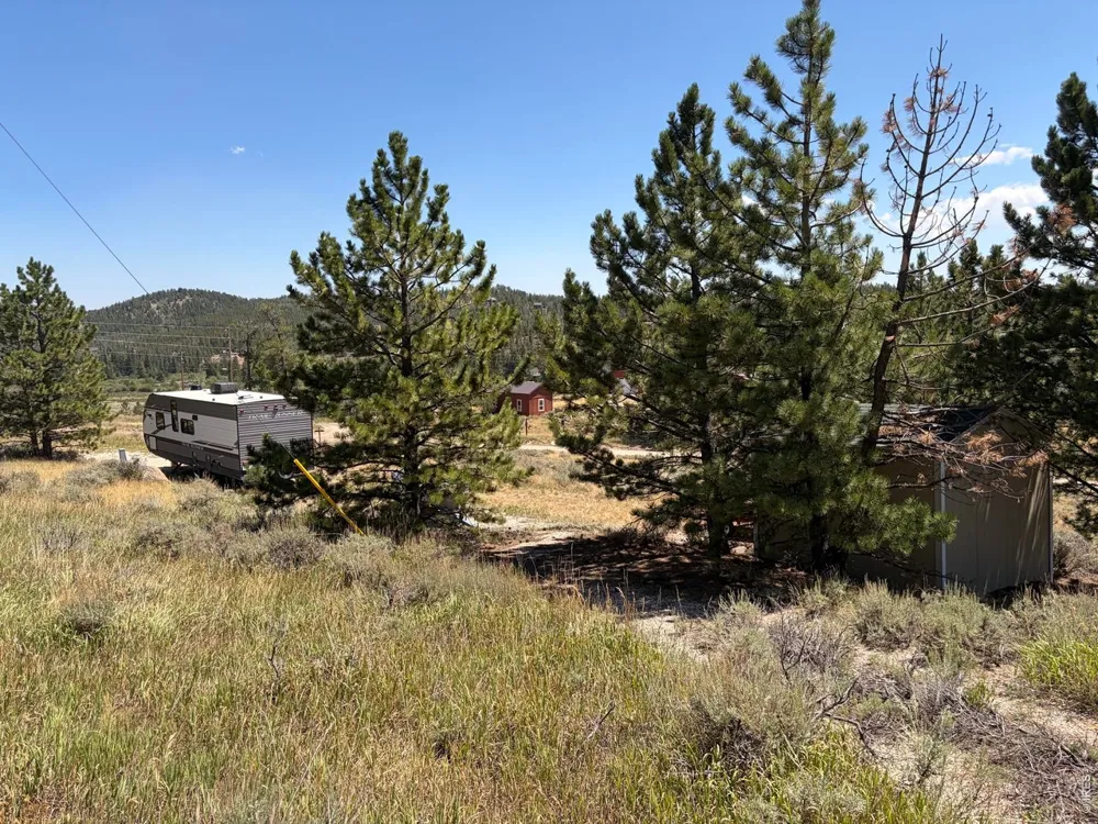 6920 Ottawa Way Red Feather Lakes, CO 80545