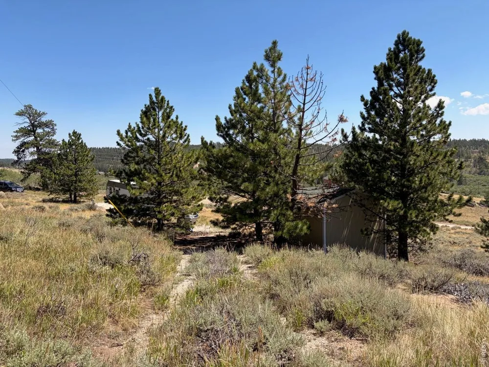 6920 Ottawa Way Red Feather Lakes, CO 80545