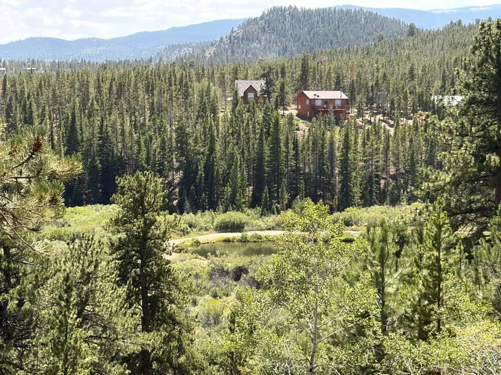 6920 Ottawa Way Red Feather Lakes, CO 80545