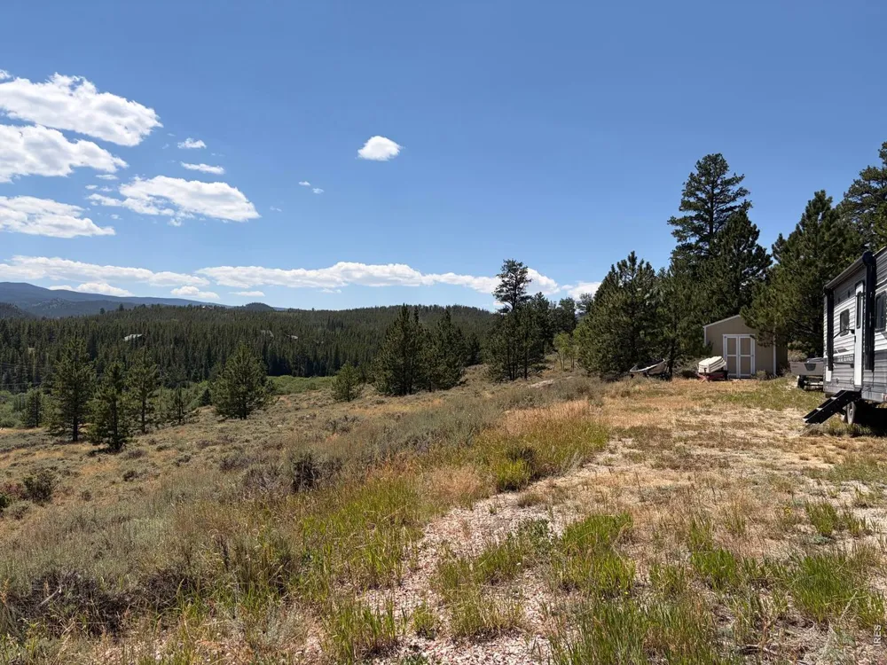 6920 Ottawa Way Red Feather Lakes, CO 80545