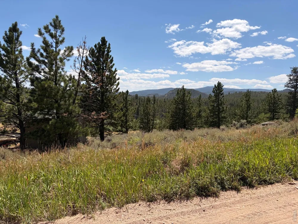6920 Ottawa Way Red Feather Lakes, CO 80545