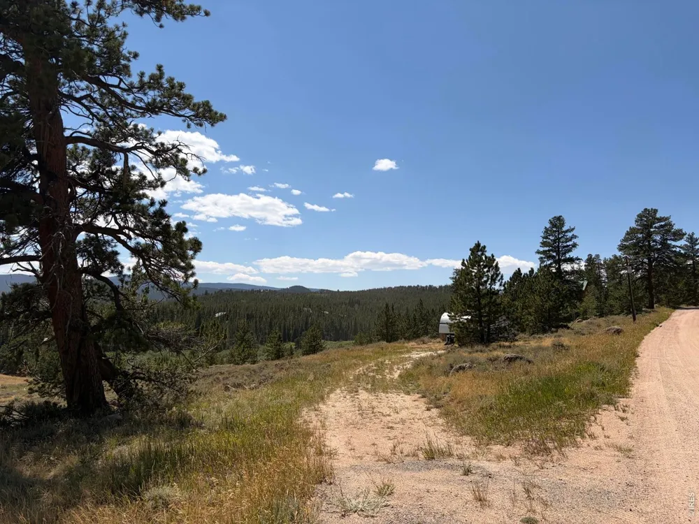 6920 Ottawa Way Red Feather Lakes, CO 80545