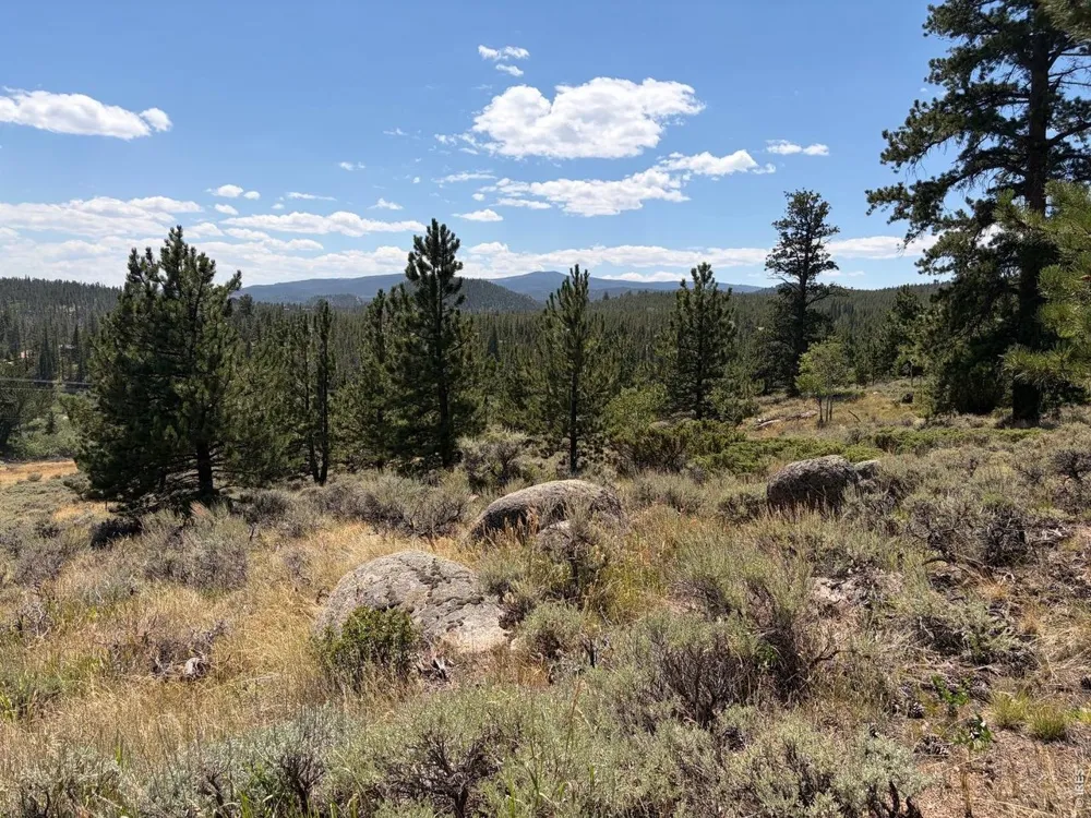 6920 Ottawa Way Red Feather Lakes, CO 80545