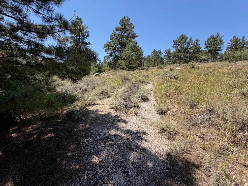 6920 Ottawa Way Red Feather Lakes, CO 80545