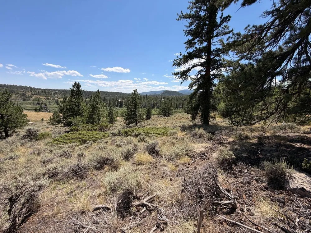 6920 Ottawa Way Red Feather Lakes, CO 80545