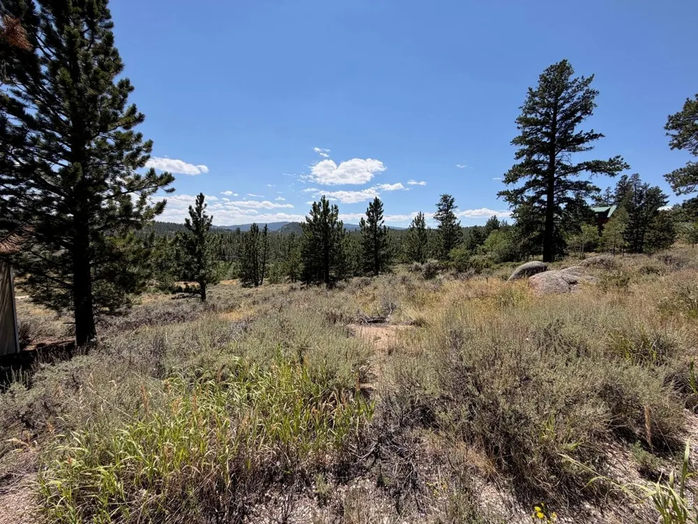 6920 Ottawa Way Red Feather Lakes, CO 80545