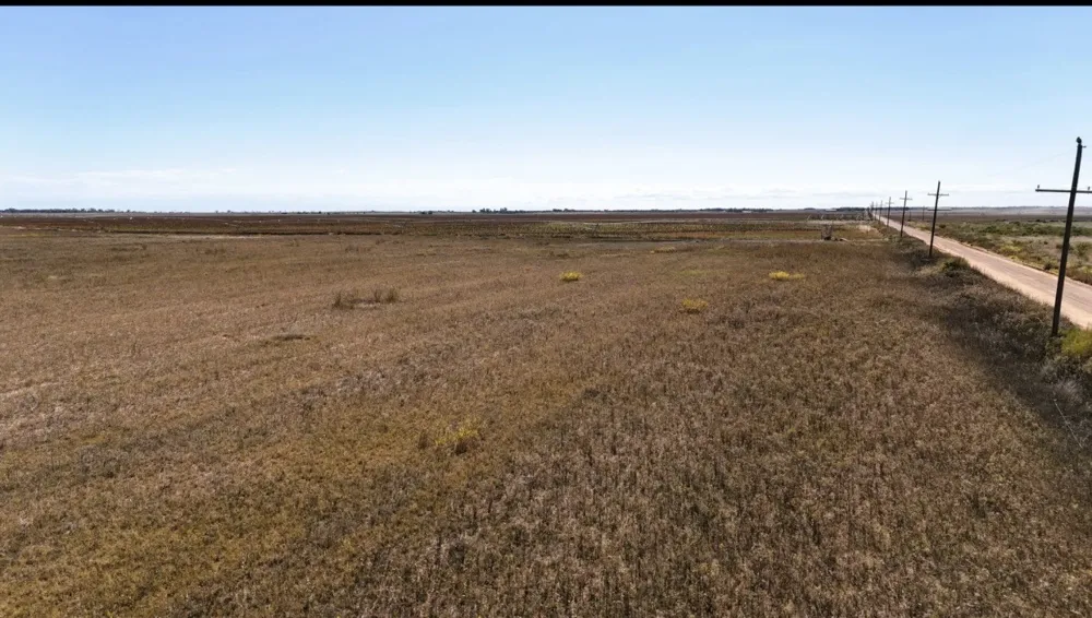 433 CR 151 Rochester, TX 79544