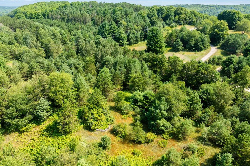 Rolling Ridge Lane Banks Township, MI 49729
