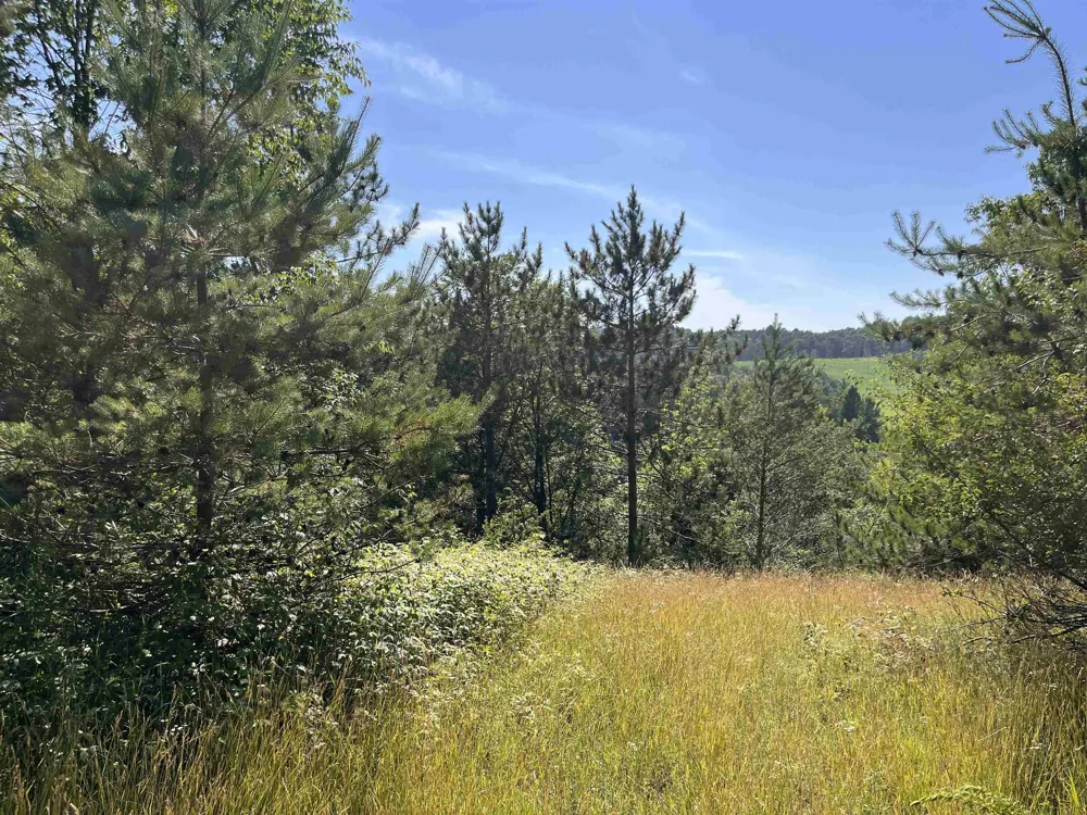 Rolling Ridge Lane Banks Township, MI 49729