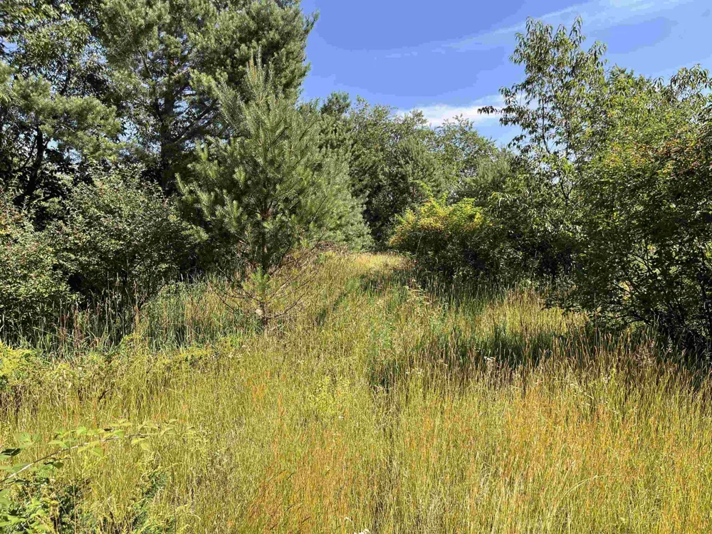 Rolling Ridge Lane Banks Township, MI 49729