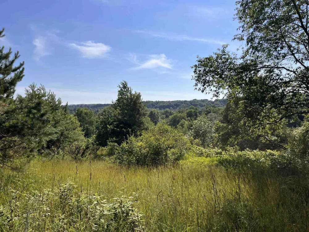 Rolling Ridge Lane Banks Township, MI 49729